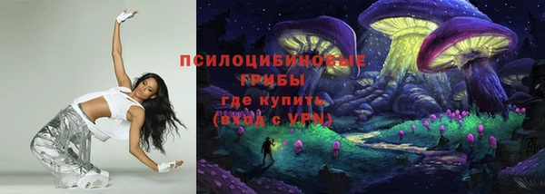 гидра Вязьма