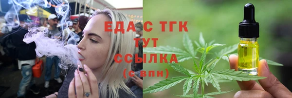 гидра Вязьма