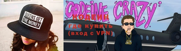 гидра Вязьма