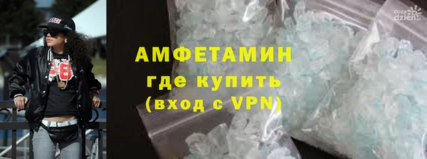 гидра Вязьма