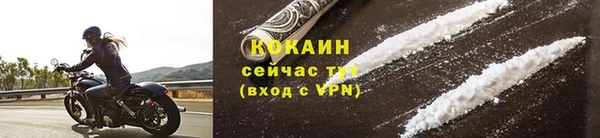 гидра Вязьма