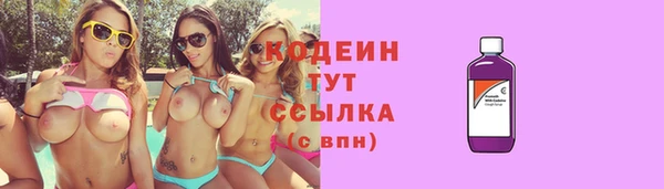 гидра Вязьма