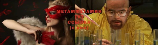 гидра Вязьма