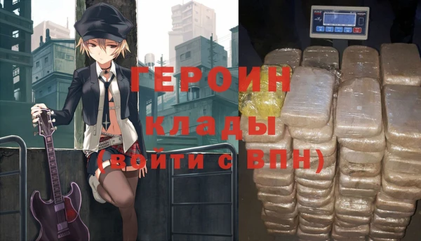 гидра Вязьма
