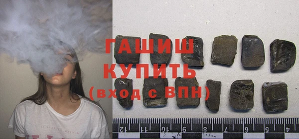 гидра Вязьма