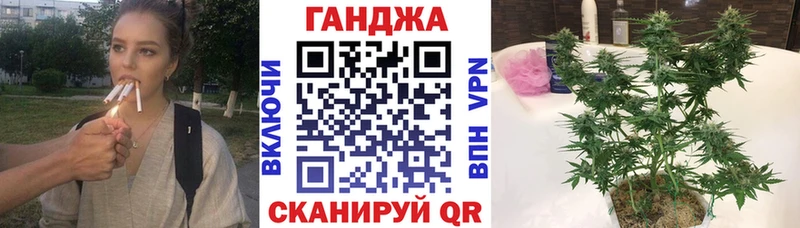 Бошки Шишки тримм  мориарти клад  Пересвет  наркошоп 